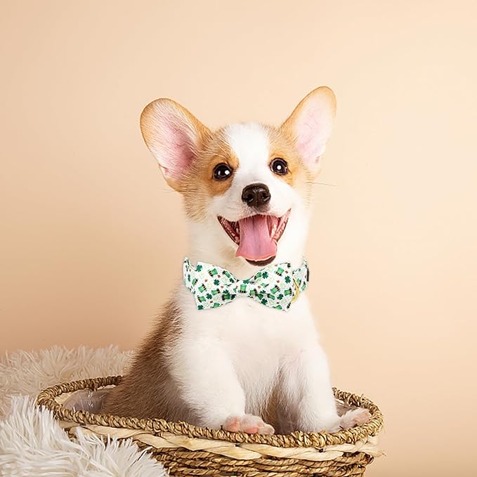MR. CHUBBYFACE St.Patrick's Clover Dog Collar with Bowtie, Green Clovers Shamrock Pattern Metal Buckle Dog Collar Adjustable Shamrock Collar for Small Medium Large Dogs