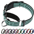 Martingale Dog Collar, Adjustable Nylon Reflective Collar with Quick Release Buckle (Apple Green, Medium)