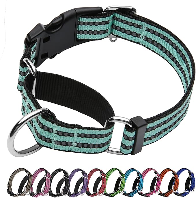 Martingale Dog Collar, Adjustable Nylon Reflective Collar with Quick Release Buckle (Apple Green, Small)