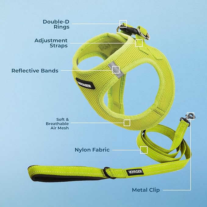 Best Pet Supplies Voyager Step-in Air All Weather Mesh Harness and Reflective Dog 5 ft Leash Combo with Neoprene Handle, for Small, Medium and Large Breed Puppies - Set (Lime Green), S