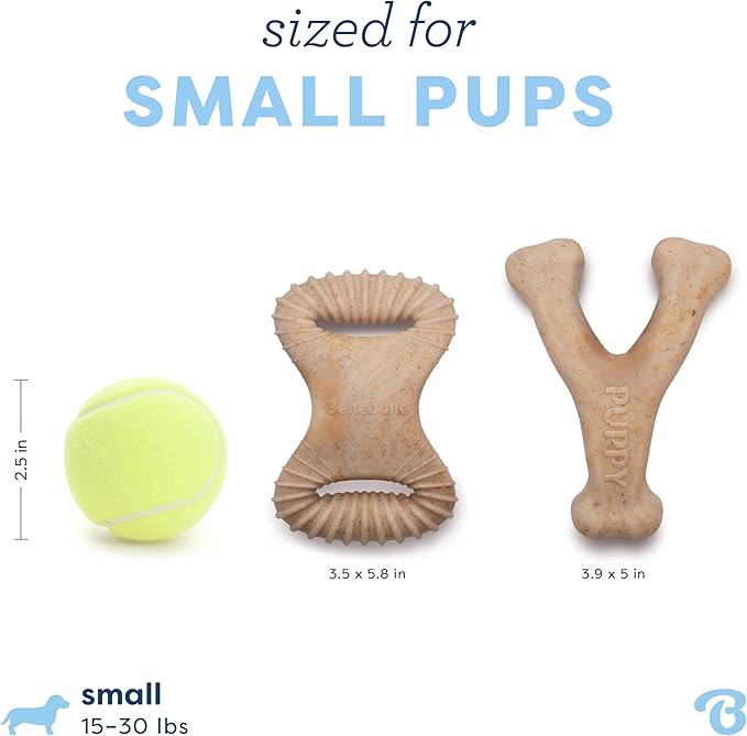 Benebone Puppy 2-Pack Dental Chew/Wishbone Real Chicken Small