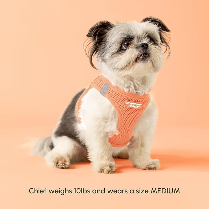 Downtown Pet Supply Step in Dog Harness for Large Dogs - Adjustable, Escape Proof Dog Harness with Reflective Trim - All-Weather, Fast-Drying Padded Mesh Fabric - Tangerine, Small