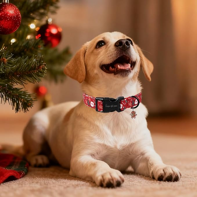 Christmas Dog Collar, Unique Style Paws Santa Claus Dog Collar for Christmas Comfortable Red Pet Collar with Lightweight Plastic Buckle for Holiday, Fancy Dog Gift