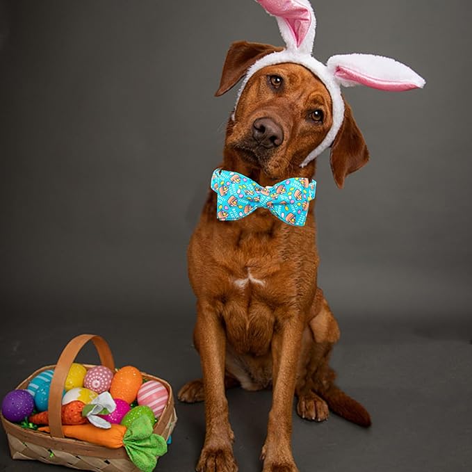 Lionheart Glory Easter Dog Collar - Small Dog Bow Collar with Colorful Bows for Spring
