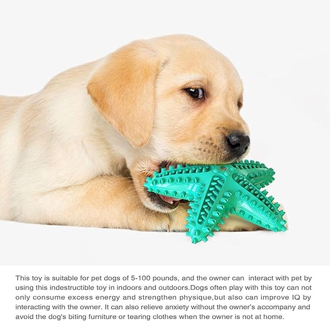 Chew Toy for Dog Toothbrush Stick Dog Toys for Aggressive Chewers Interactive Toys Treats Tough Toy to Keep Them Busy Chew Toys for Small Dogs (Star Toy - Blue)