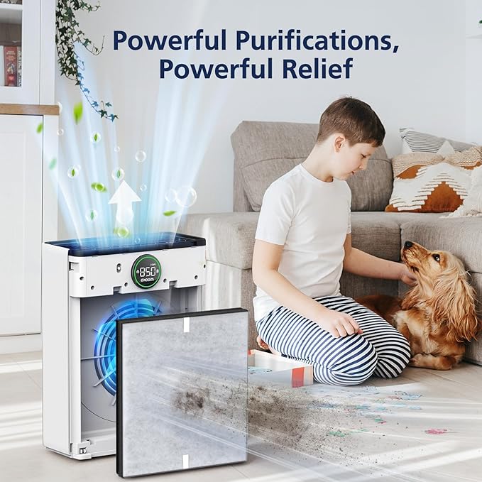 PR1 Replacement Filter for Mooka PR1 Air Purifier for Home Large Room up to 2200sq.ft, HEPA Activated Carbon, with 4Pcs Washable Filter for Pets, PM 2.5, Pollen, 2 Packs