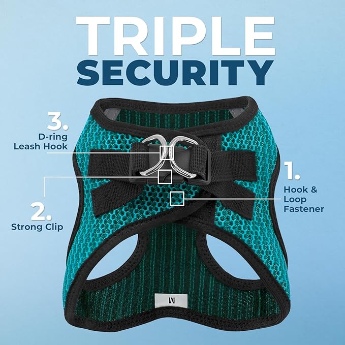 Best Pet Supplies Voyager Step-in Air All Weather Mesh Harness and Reflective Dog 5 ft Leash Combo with Neoprene Handle, for Small, Medium and Large Breed Puppies - Turquoise (2-Tone), L