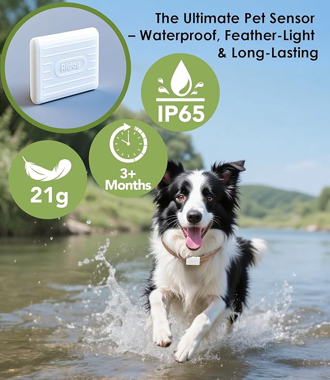 Automatic Dog Door with Collar Sensor, 2-Flap Large Electronic Dog Door for Door with Anti-Pinch, Mains-Powered, LCD Display, Timing Function, Metal Frame- L