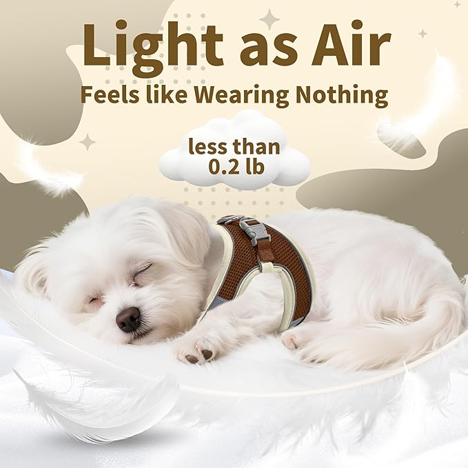 AIITLE Easy Walk Dog Harness and Leash Set - Pet Supply No Pull, Step in Adjustable Dog Harness with Padded Vest, Dog Harness No Choke Over, Easy to Put on Medium Dogs Beige L