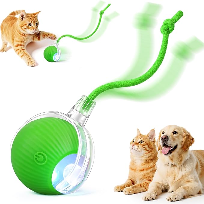 Interactive Electric Automatic Rolling Moving USB Rechargeable Self Activated Play Stimulation Toy Smart Chase Teaser Ball with Speedy Tail Rope for Bored Adult Indoor Cats and Dogs, Green