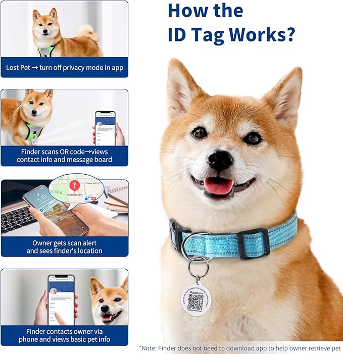 Reflective Dog Collar for Extra Small Dogs with Dog Tags Personalized & Quick Release Buckle, Adjustable and Comfortable Nylon Pet Collar, Blue