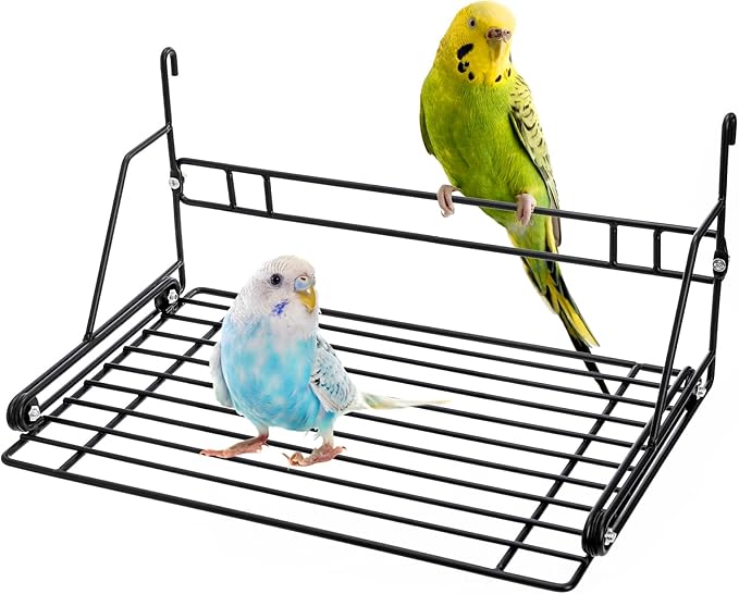 Okllen Bird Perch Stand, Bird Cage Platform Wire Patio Sundeck Playground for Parrots Cockatiels and Small Birds, 12" Lx8 W