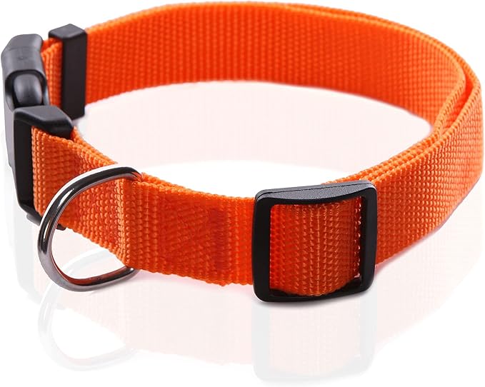 Adjustable Nylon Dog Collar, pet Collar 1 Inch 3/4 Inch 5/8 Inch Wide, for Large Medium Small Dogs (S(5/8" x 11-16"), Orange)