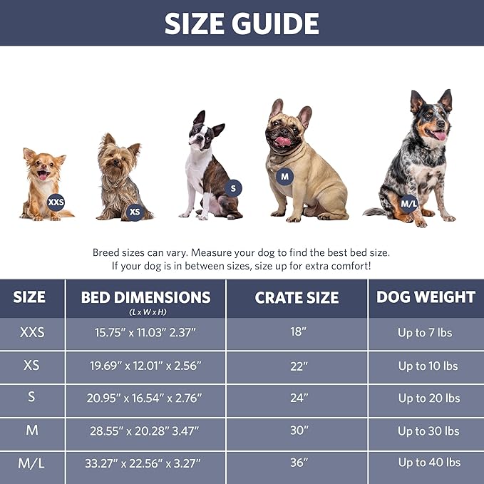 MidWest Homes for Pets QuietTime Fashion XS Dog Bed – Blue Faux Fur Bolster, Ultra-Soft and Machine Washable, Fits 22-Inch Crates and Carriers, for Small Dogs and Cats