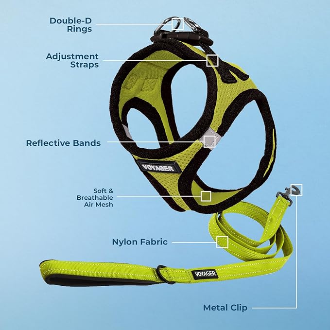 Best Pet Supplies Voyager Step-in Air All Weather Mesh Harness and Reflective Dog 5 ft Leash Combo with Neoprene Handle, for Small, Medium and Large Breed Puppies - Lime/Black Trim, XX-Small