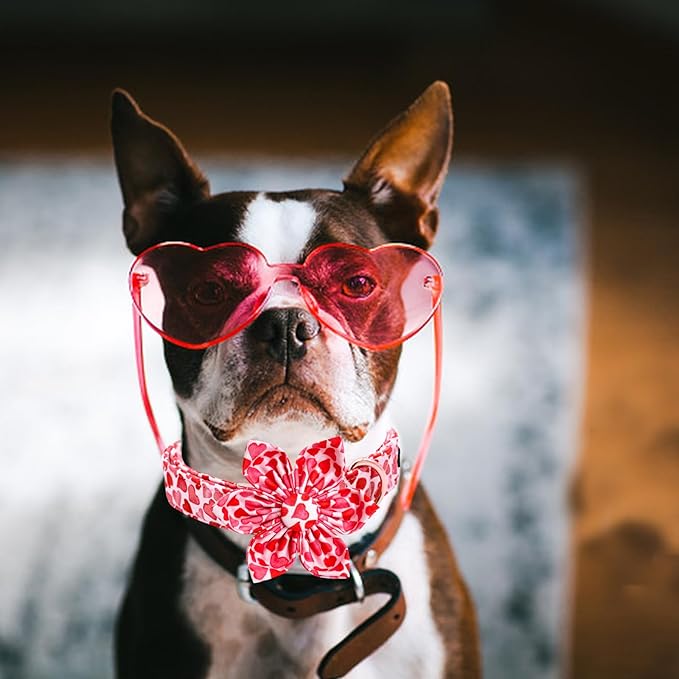 Lionheart glory Valentine's Day Dog Collar with Flower Dog Collars Red Hearts Dogs Collar with Bowtie for Large Dogs Spring Puppy Pet Collars Bows