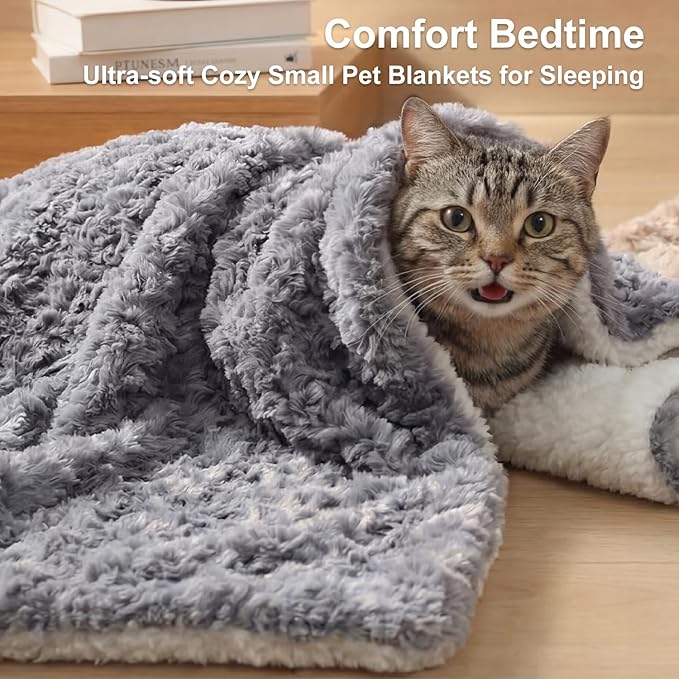 Cat Blanket for Indoor Cats Ultra-Soft Plush Small Blanket Machine Washable Cozy Calming for Kittens Cats Bed Couch Car 21"x18" White