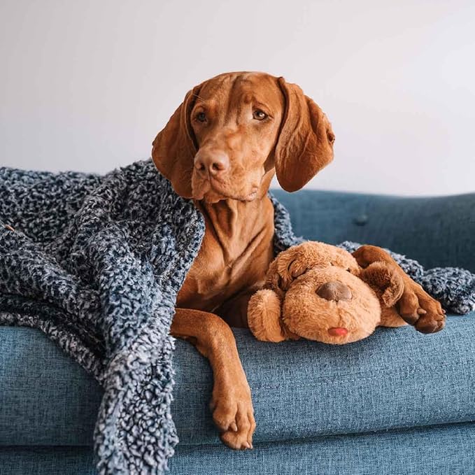 Snuggle Puppy Original Toys - Heartbeat Puppy for Dogs - Pet Anxiety Relief and Calming Aid - Comfort Dog Toys for Behavioral Training - Plus 6 Heat Packs