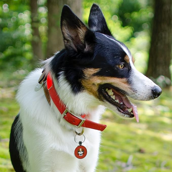 MYLUCKYTAG QR Code Pet ID | Personalized Dog & Cat Collar Tag | Online Profile with Instant Scanned Location Alert Email