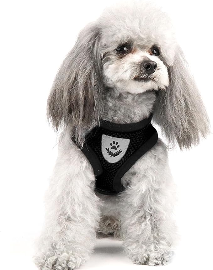 shudyear Summer cat Chest Harness and Leash, Anti-Escape Adjustable Soft mesh cat Leash and Chest Harness Set for All Types of Cats cat Vests (Size XL,Black)