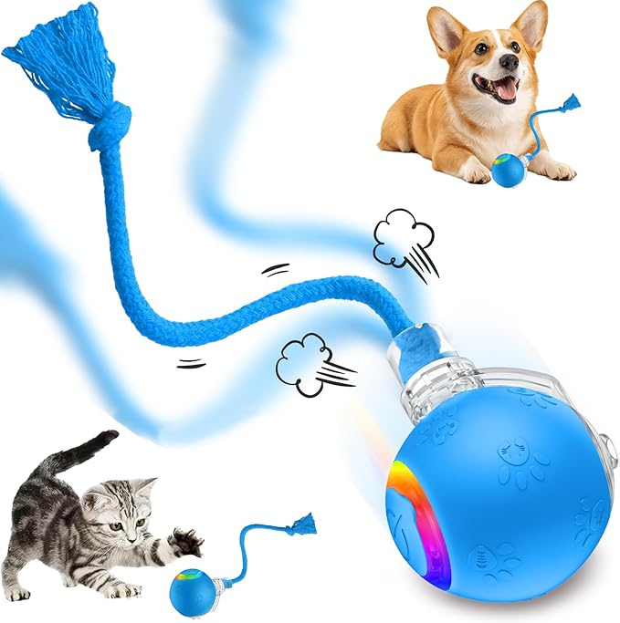 FUNNYDUCK Speed 2.0 Tail Interactive Cat Toys for Indoor Cats – Smart Motion-Activated Rolling Ball with Tail, Chirping Sounds, and USB Rechargeable Design for Enrichment & Exercise