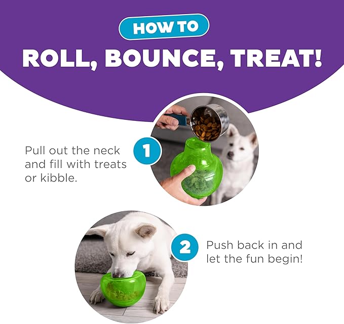 Outward Hound by Planet Dog Snoop Dog Toy – Treat‑Dispenser Puzzle Ball, Interactive Slow Feeder, Medium to Large Dogs, Bouncy & Mint-Infused, Green, 5"