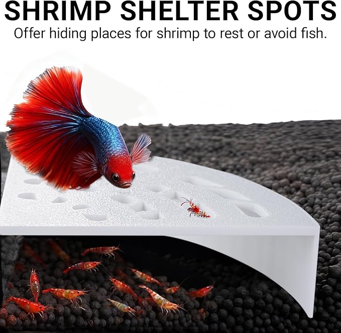 Shrimp Cave 2-Pack – Space-Saving Fan-Shaped Aquarium Cave Decor with 180° Wide-View Design, Compact Fish Tank Accessories for Cherry/Dwarf Shrimp (White)