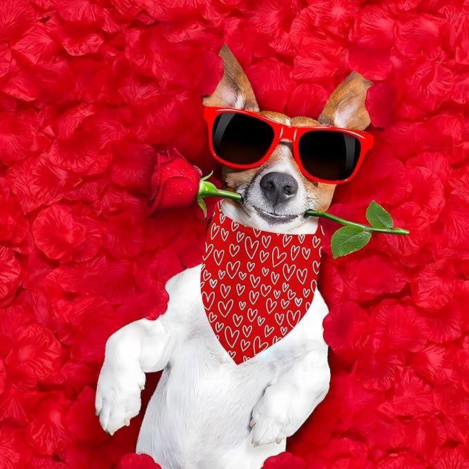 Valentines Dog Bandanas, 2 Pack Mother's Day Triangle Dog Bandanas, Reversible Love and Heart Pet Scarf, Premium Durable Fabric, Boys and Girls, Holiday Bandana for Large and Extra Large Dogs