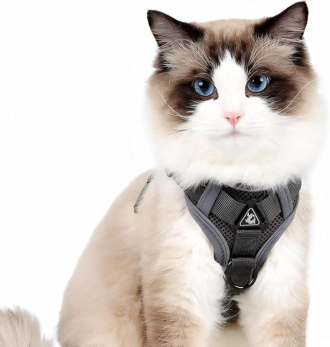 Cat Harness and Leash for Walking, Escape Proof Soft Adjustable Vest Harnesses for Cats (Grey, Medium)
