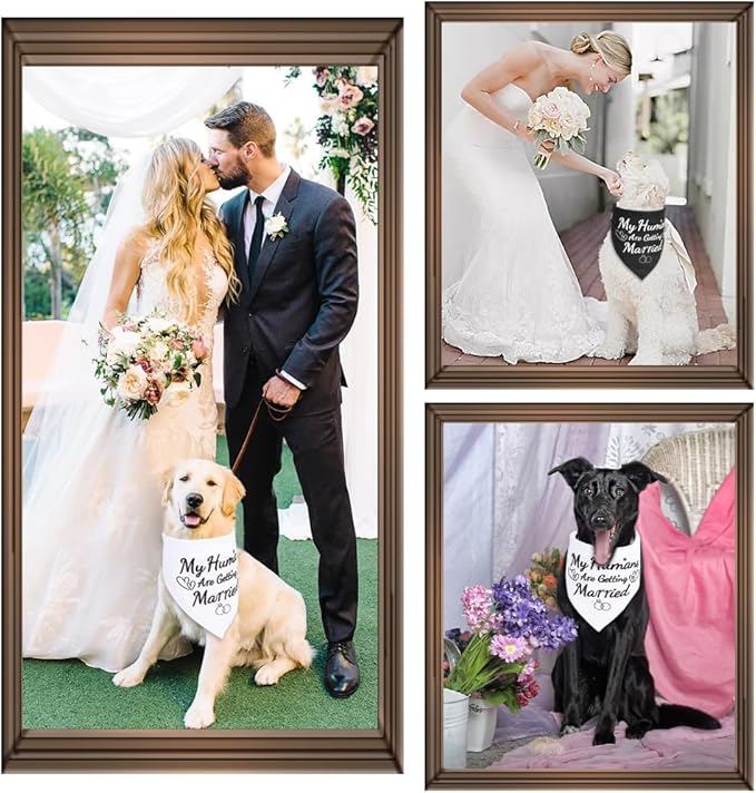 SZEE Engagement Gifts for Couples, 2 Pack My Humans are Getting Married Dog Bandanas, Wedding or Bridal Shower Gifts for Bride, Dog Wedding Bandanas, Engagement Party Decorations (White & Black, L)