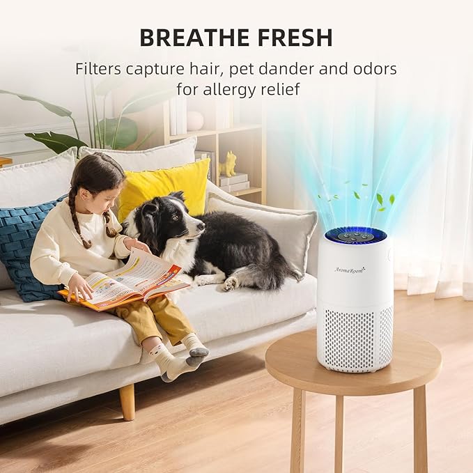 Air Purifier for Home Bedroom, AromaRoom H13 HEPA Air Filter For Smoke Pollen Dander Hair Smell Air Cleaner, 3-in-1 Filter with Sleep Mode, Quiet Air Cleaner For Pets, Home, Baby Room (White)