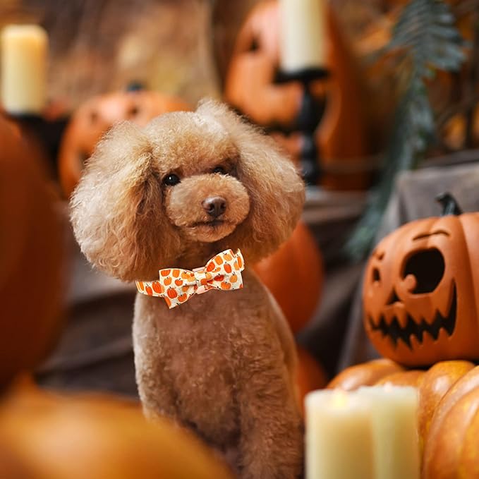 Dog Collars - Halloween Pumpkin Bowtie Dog Collar Gift Soft Bow Collar Pet Adjustable Metal Buckle Pet Collar for X-Small Dogs