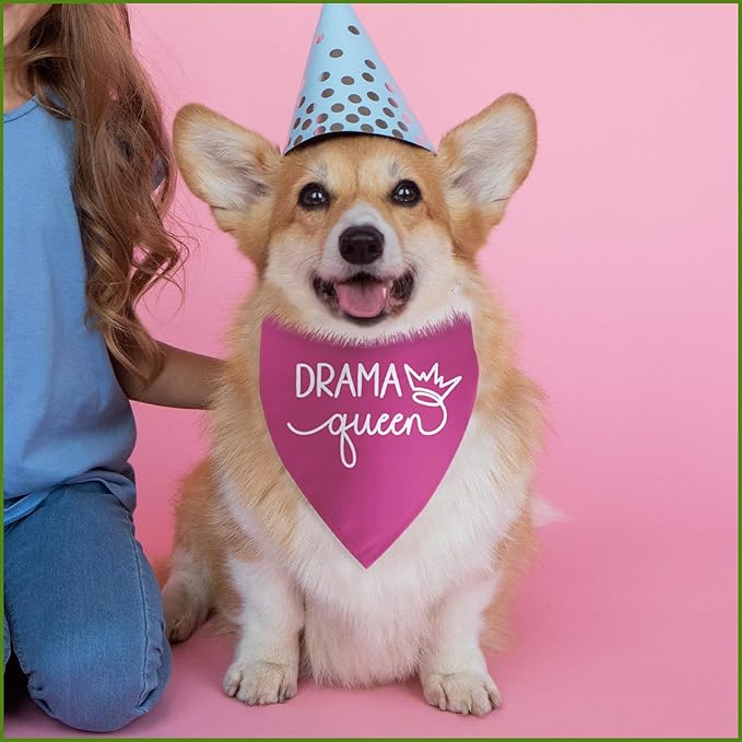 Drama Queen Printed Dog Bandana Funny Dogs Mom Birthday Gifts Pink Dog Bandana for Large Medium Small Dogs Girl Drama Queen Photo Prop Pet Scarf Accessories Christmas Puppy Gifts