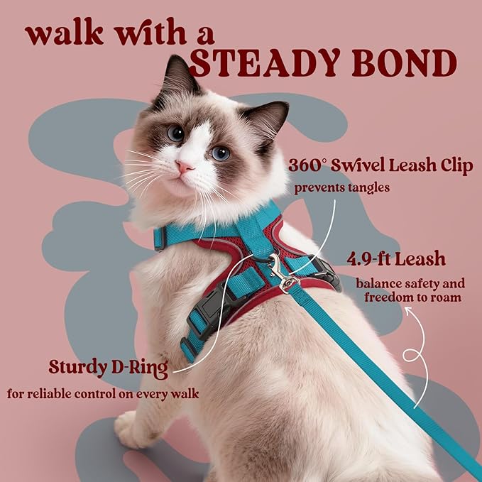 rabbitgoo Cat Harness and Leash for Walking, Escape Proof Soft Adjustable Vest Harnesses for Cats, Easy Control Breathable Reflective Strips Jacket, Red & Teal, XXS