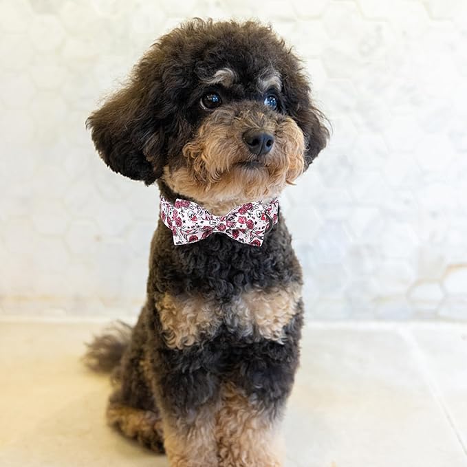 MR. CHUBBYFACE Valentine's Dog Collar with Bow Tie-Cute Pink Rose Cotton Dog Collar, Adjustable Valentine's Boy Girl Dog Collars with Metal Buckle for Small Medium Large Dogs