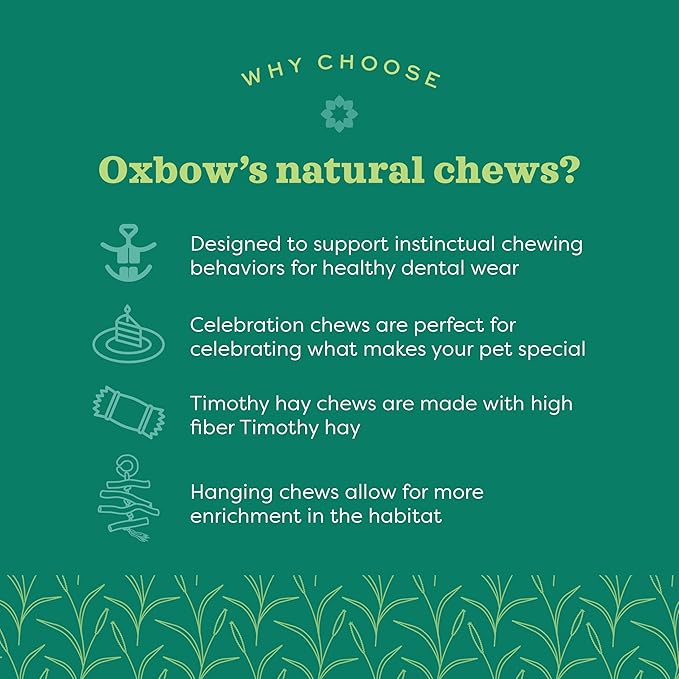 Oxbow Enriched Life Natural Dangly Party Pack, Rabbit Toys, Guinea Pig Toys, Enrichment for Bunny, Guinea Pig, Hamster Stuff, Rabbit Enrichment, Chinchilla, Rat, Chinchilla Cage Accessories