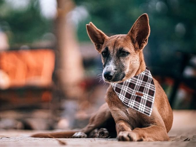 Lionet Paws Dog Bandana Washable Cotton Handkerchief Scarf Triangle Bandana for Small Medium Large Dogs