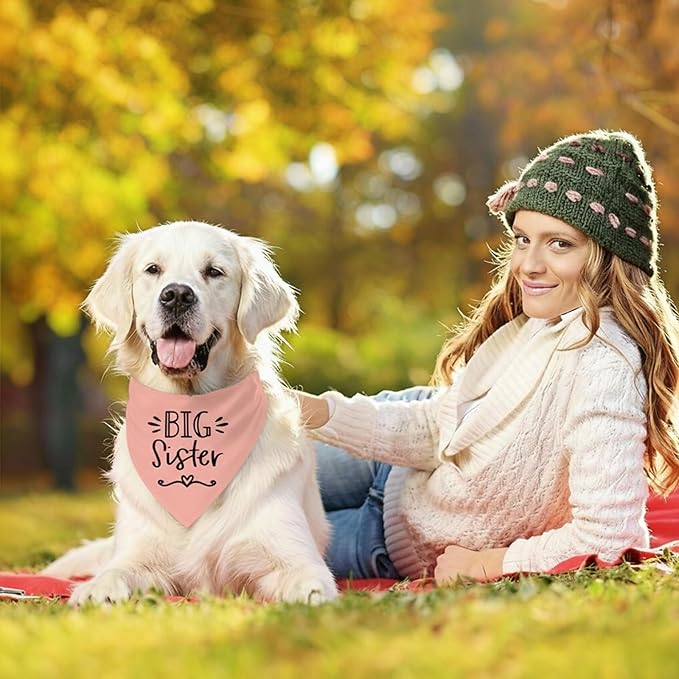 Big Sister Dog Bandanas, Pet Dog Triangle Scarf for Small Medium Large Pet, Baby Announcement Dogs Bandana Pets Scarf (Big Sister)