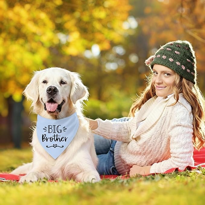 Big Brother Dog Bandanas, Pet Dog Triangle Scarf for Small Medium Large Pet, Baby Announcement Dogs Bandana Pets Scarf (Big Brother)