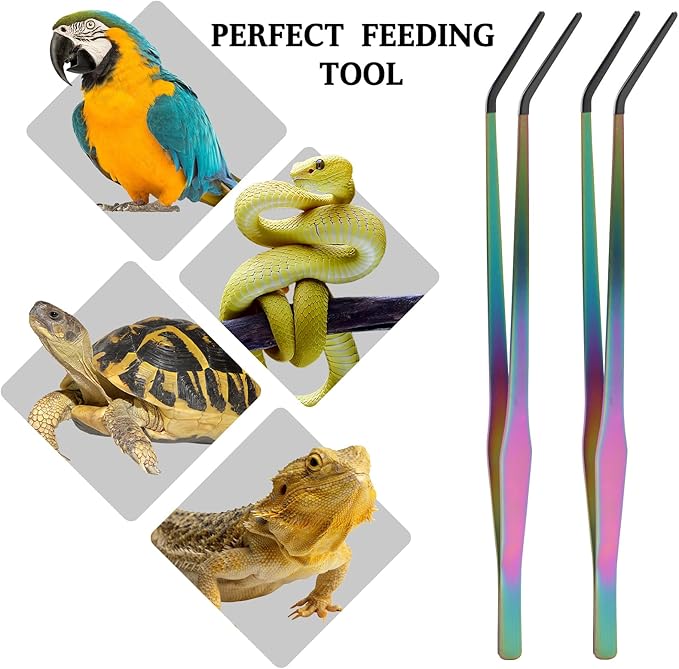 OLIISS Reptile Feeding Tongs with Rubber Tip - 15" Extra Long Tweezers for Aquariums & Crafts - Stainless Steel Feeder Tools for Bearded Dragons & Lizards - Terrarium Tank Supplies - 2 Pack