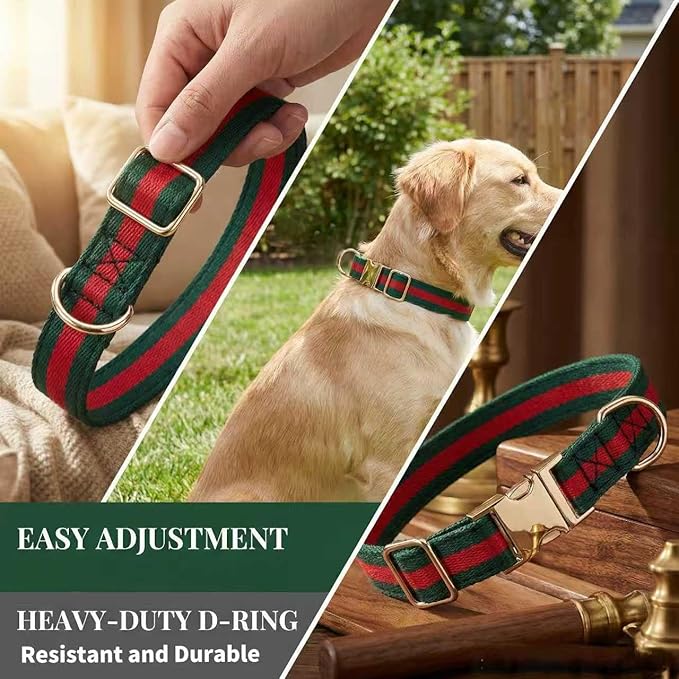 Premium Dog Collar, Cute Dog Collars Luxury Style, Durable Pet Collars with Metal Buckle Safety for Medium Dogs