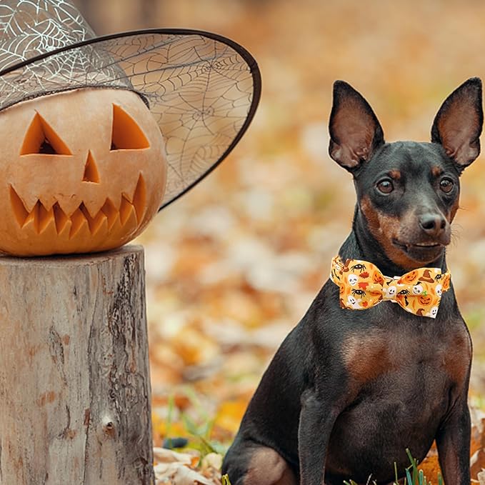 Halloween Dog Collar, Pet Collar Bow Fall Puppy Collar Girl Boy Holiday Collars Gift Bow Cute Soft Puppy Collars for Small Dogs