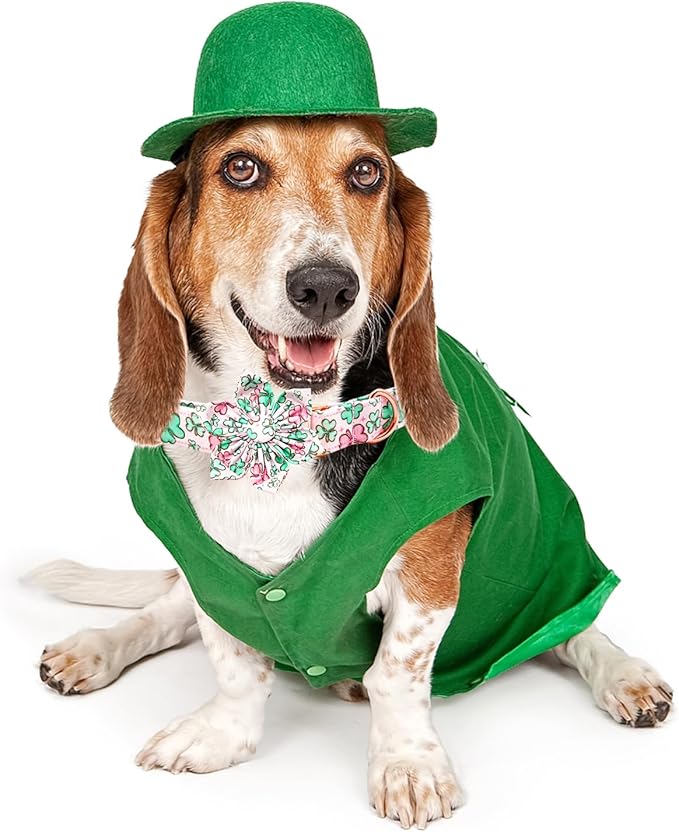 Lionheart glory St. Patrick's Day Dog Collar with Flower Dog Collars for X-Small Dogs, Heavy Duty Green Collars Lucky Clover Shamrock Dogs Collar Flower Puppy