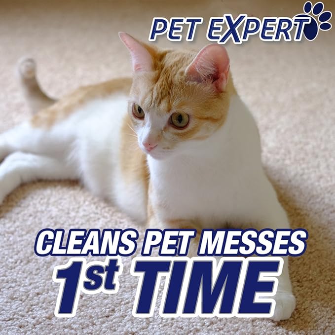 Resolve Pet Expert Stain and Odor Remover, Carpet Cleaner, Pet Stain andOdor Remover, Carpet & Upholstery Cleaner - Removes Stains andOdors, 22 oz (Pack of 2)