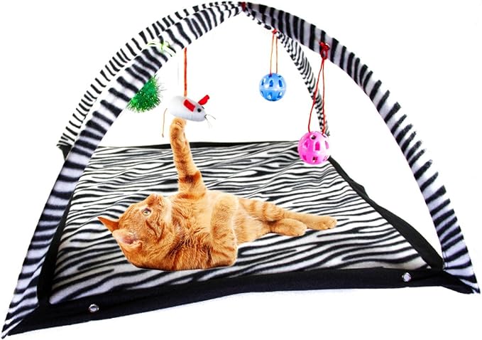 Cat Activity Center