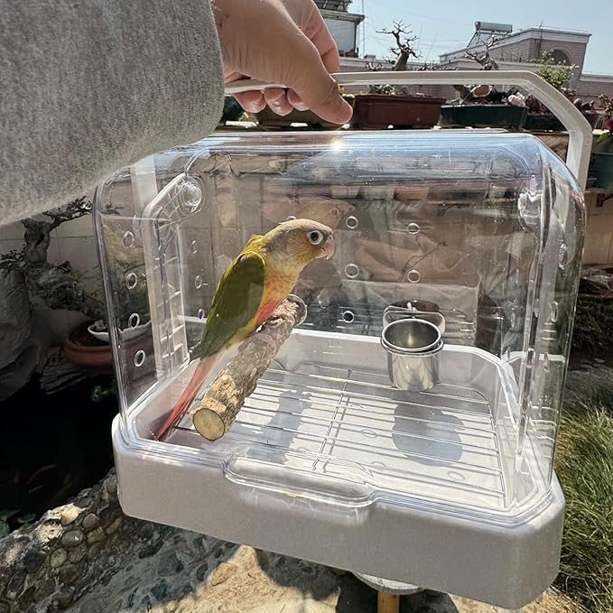 Bird Travel Cage, 10×6.7×8.3 Inches Waterproof & Sturdy Pet Carrier with Perch & Food Bowls, Portable Cage for Budgies, Cockatiels, Lovebirds & Small Birds