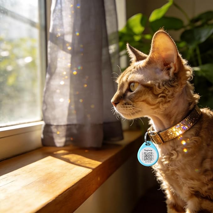 QR Code Cat ID Tag for Collar, Smart Pet ID with Online Profile, Instant Scan to Contact Owner & Location Email Alert, Silent Anti-Lost Cat Tag, No App or Subscription, Blue 1”