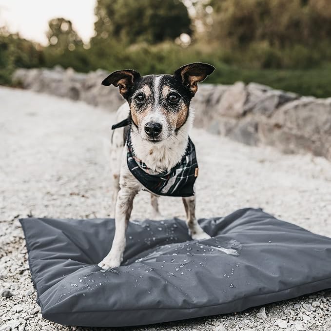 Waterproof Dog Bed Protector. (53 L x 42 W x 5 H inches) Washable Removable Orthopedic, Cooling Gel and Memory Foam Pet Bed Cover. Cover only. (Gray)