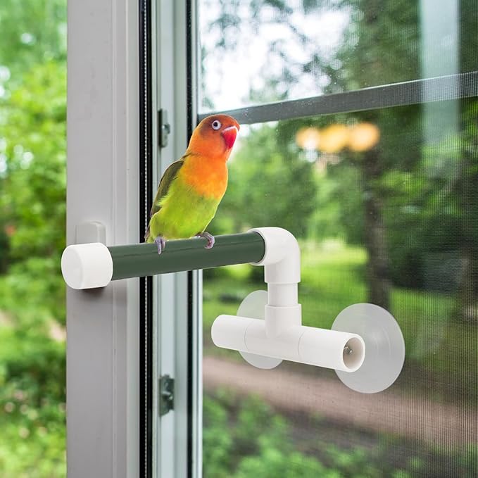 Hypeety Bird Parrot Stand Perch Shower Standing Toy Portable Suction Cup Parrot Shower Perch Bath Stands Suppllies Holder Platform Parakeet Finch Window Sturdy Hanging Play (Small)