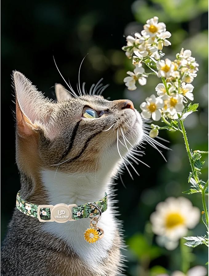 Cat Collar, 2Pack Flower Cats Collars-Cute Summer Breakaway Cat Collar with Bell & Pendant, Pretty Flower Kitten Collars with Safety Buckle for Girl & Boy Cats, 7-12Inch